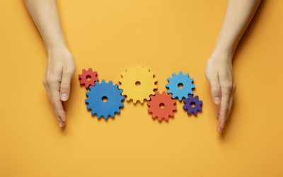 Competenze digitali: partiti i corsi del modulo ‘Lavorare Organizzati’